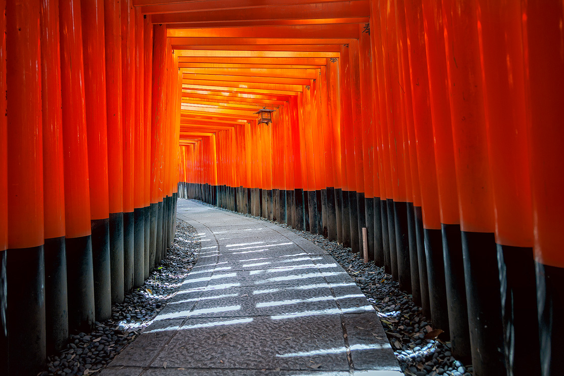 Fushimi Inari’s 1000’s of torii gates and paths through the forest and hills