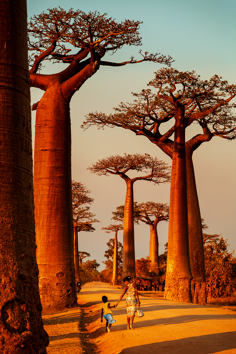 A mother and daughter walk hand in hand along the Avenue of Baobabs