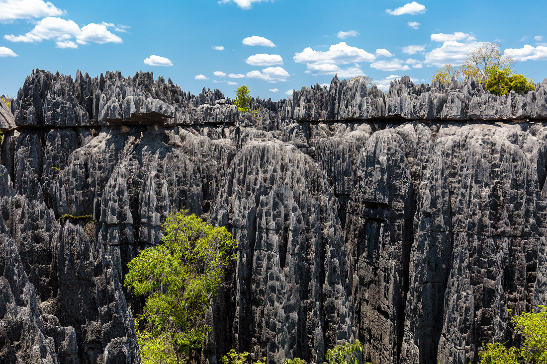 Jagged limestone rocks of Tsingy National Park