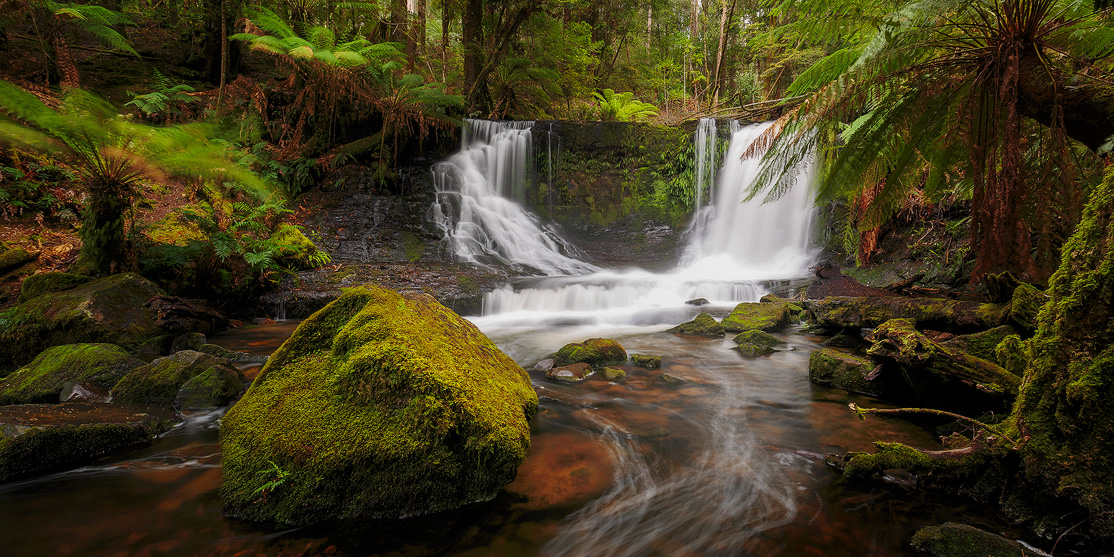 The lush landscape of Horseshoe Falls in Tasmania