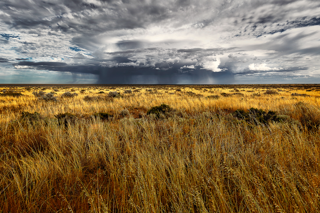 Rain falls over the plains of the Nullarbor