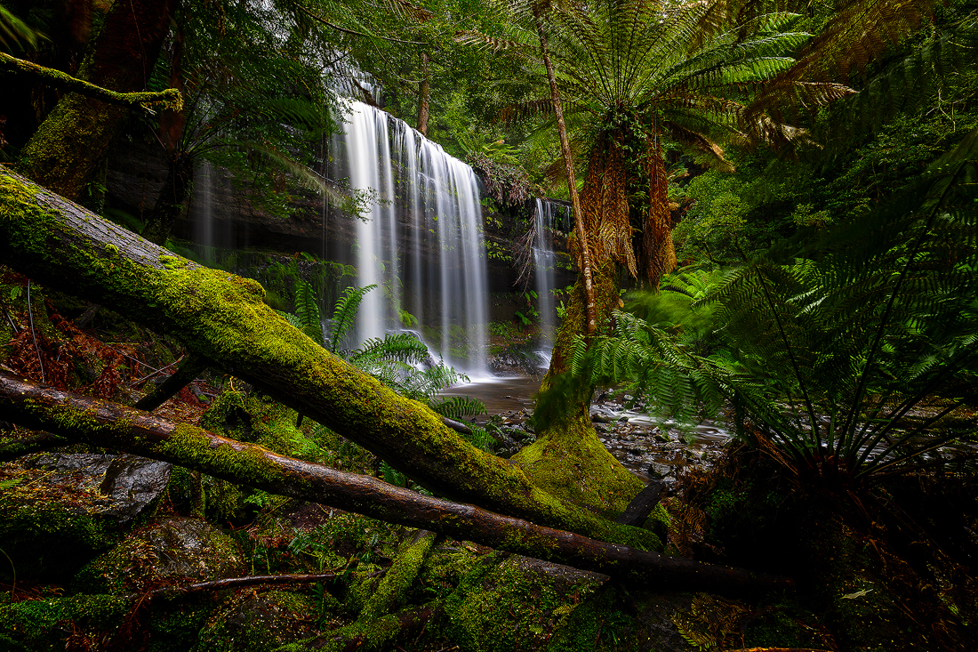 The lush landscape of Russell Falls in Tasmania