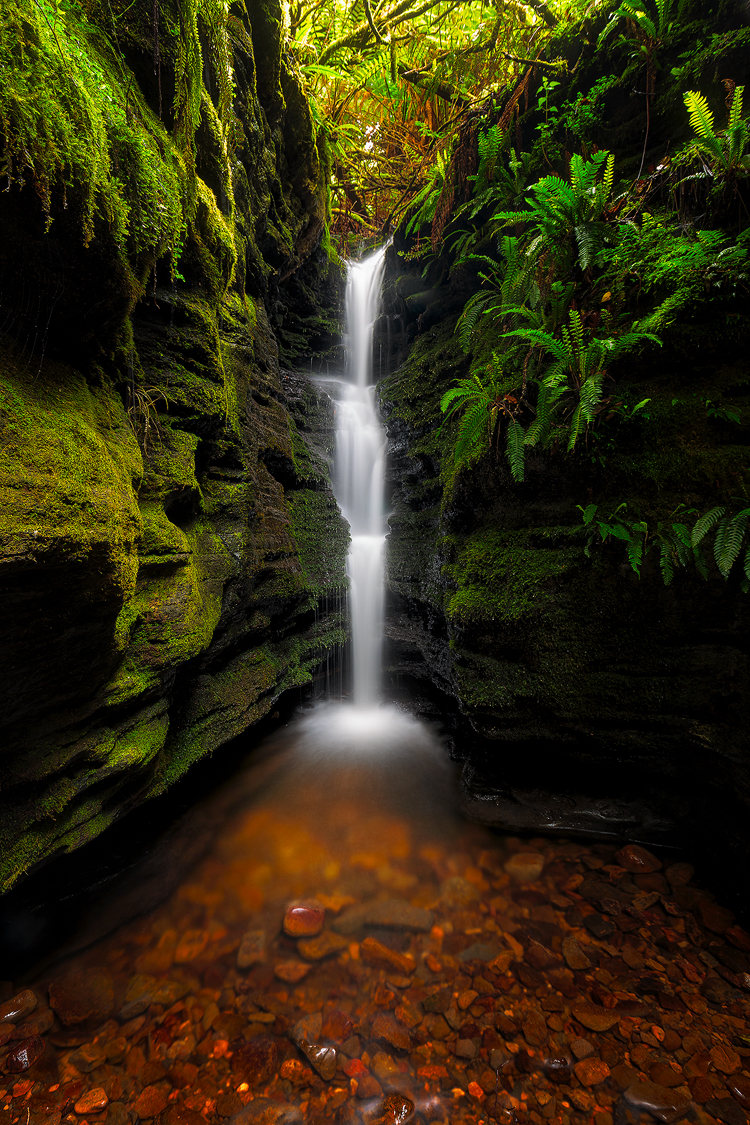 A small but memorable waterfall in the middle of Hobart